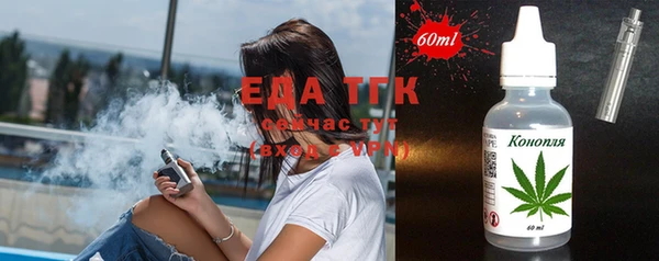 ECSTASY Алзамай