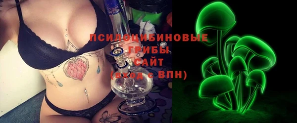 стаф Алексеевка