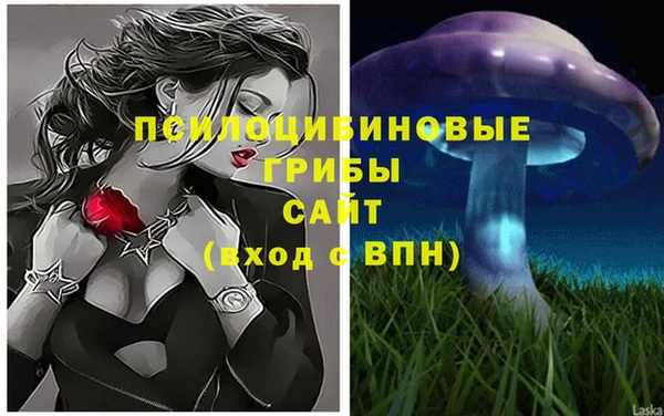ECSTASY Алзамай