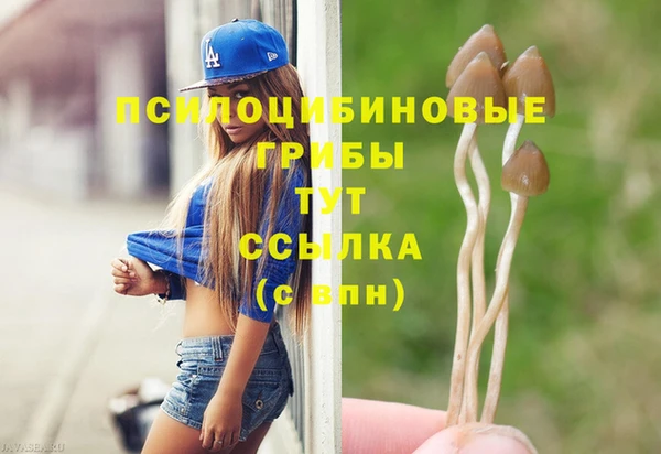 стаф Алексеевка